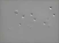 1745223371056.png